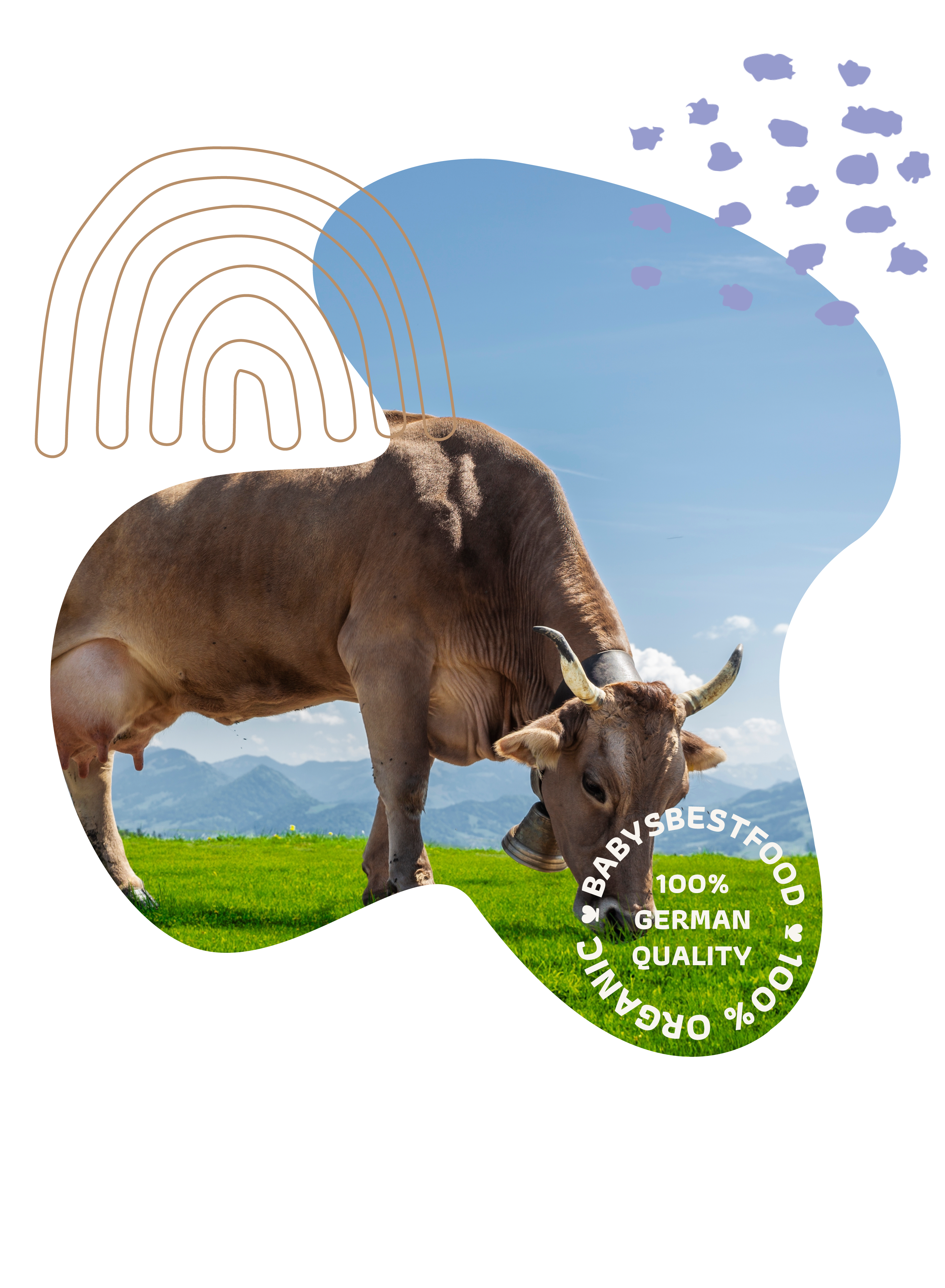 BabysBestFood_Banner_ueber-uns_v03