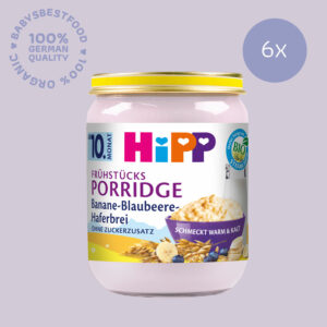 6x HiPP Banana Blueberry Porridge