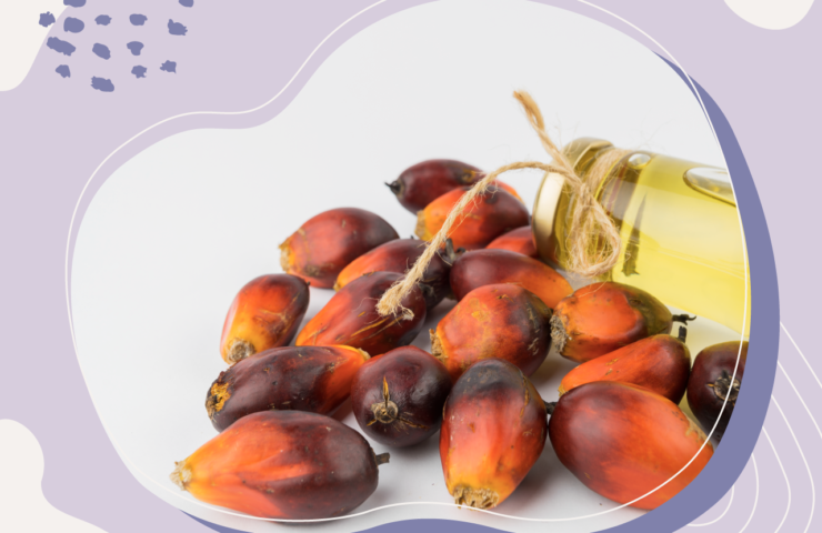 BabyBestFood-Blog_Palmoel(header)